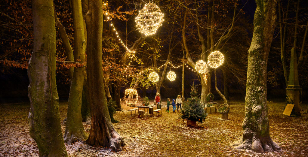 Prižig lučk Radovljica - Okrašena drevesa za december v Radovljici